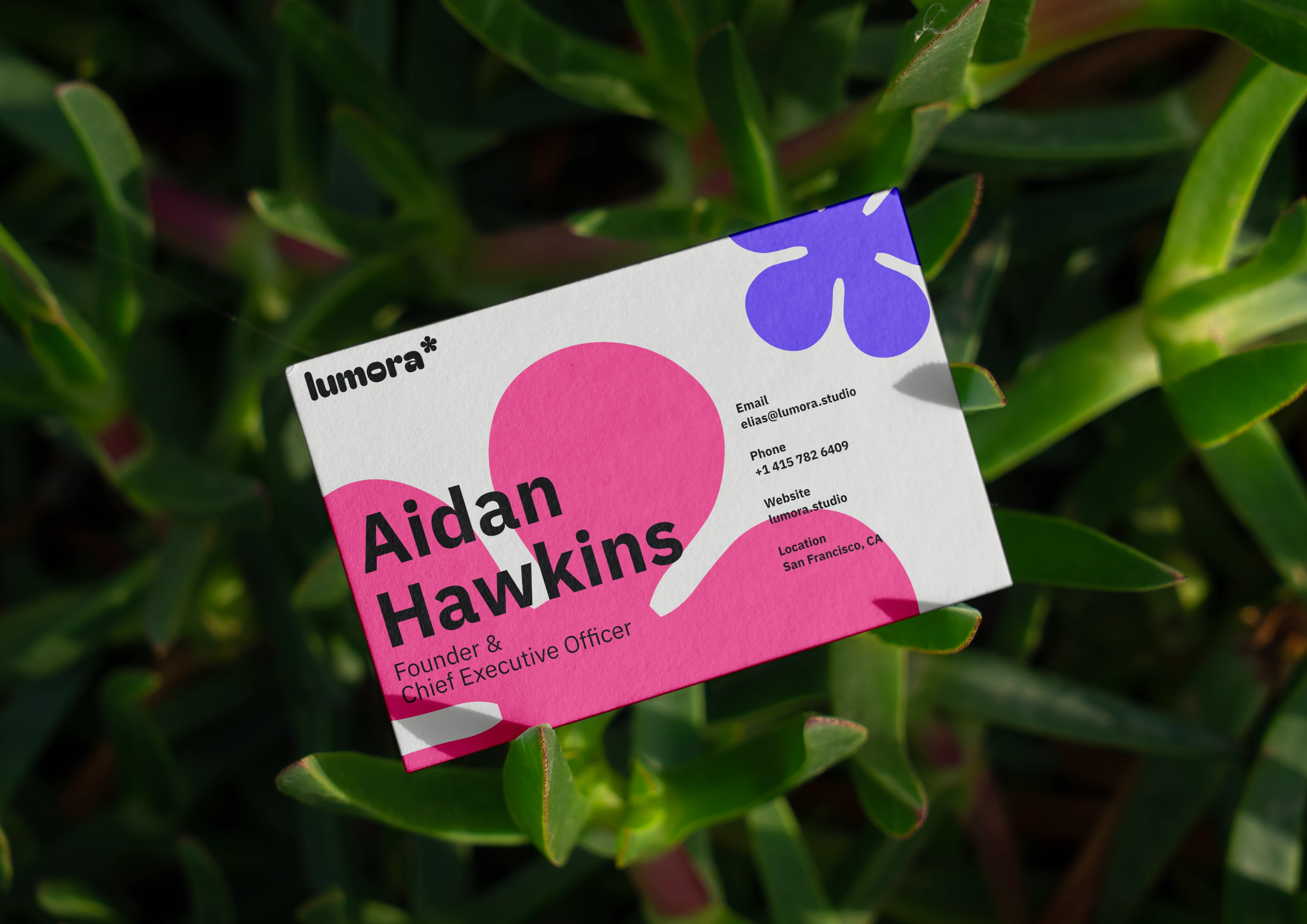 Lumora Branding Guidelines 03