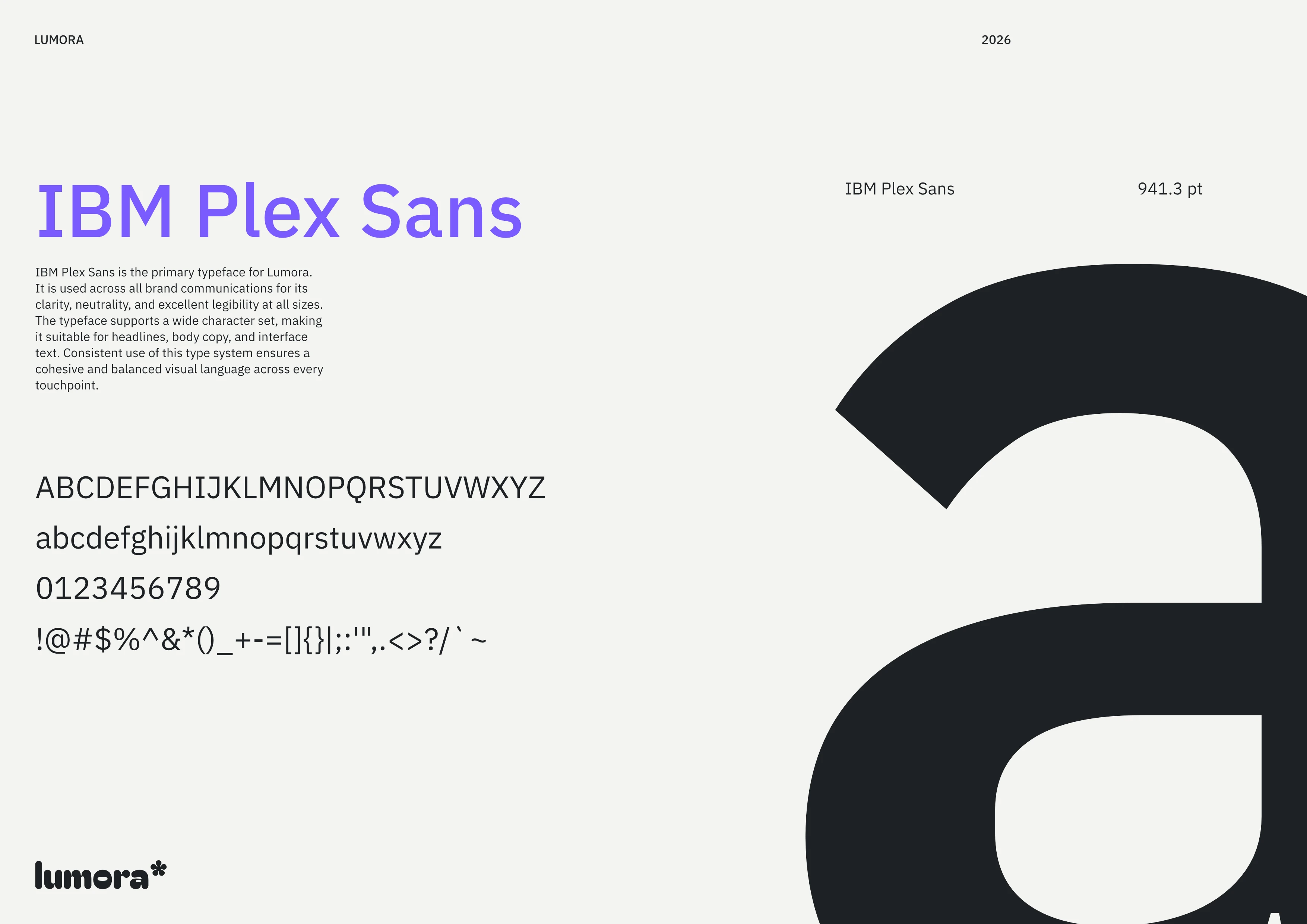 Lumora Branding Guidelines 19